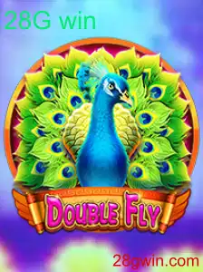 Explorando o Mundo de DoubleFly: Estratégia, Regras e Conquistas no Jogo do Momento